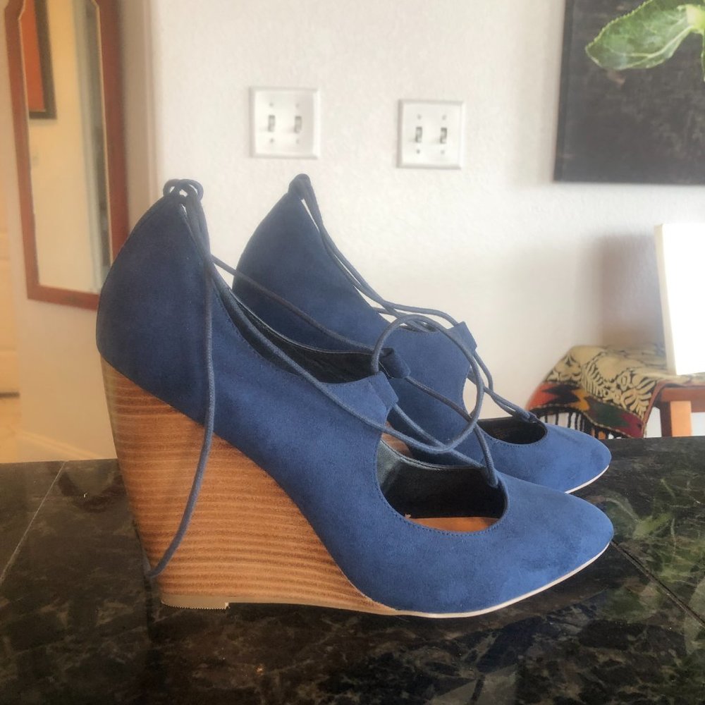 Retro Navy Suede Ankle Strap Wedges Charles David